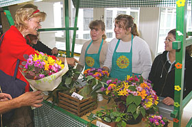 Sch&uuml;lerfirmenarbeit Linnea