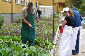 Sch&uuml;lerfirmenarbeit Braunis Garten
