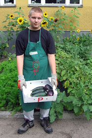 Schülerfirmenarbeit Braunis Garten