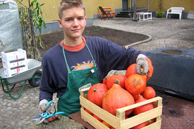 Sch&uuml;lerfirmenarbeit Braunis Garten