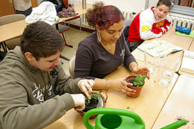 Sch&uuml;lerfirmenarbeit Victorias Gartenbau