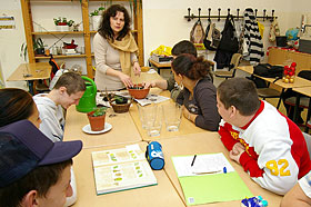 Sch&uuml;lerfirmenarbeit Victorias Gartenbau